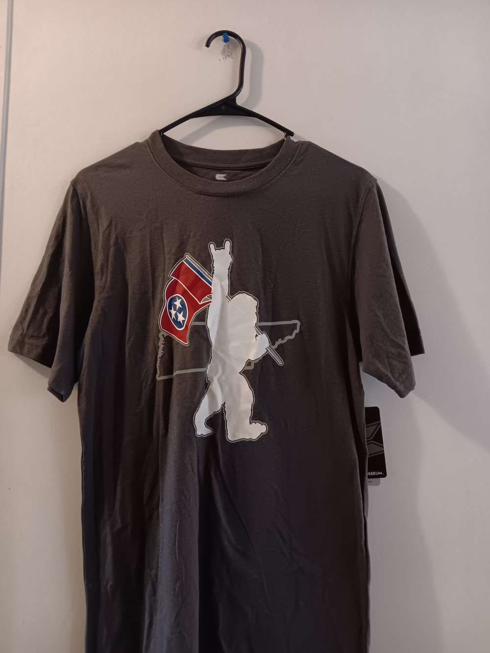 Men's Gray Graphic T-Shirt with Flag Silhouette